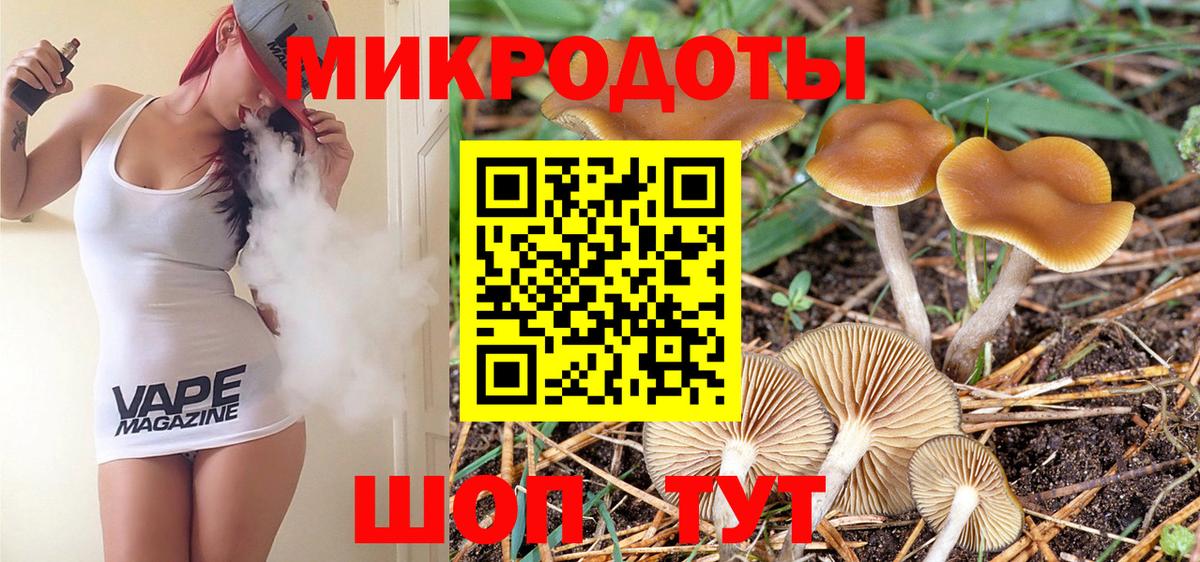 APVP Кохма